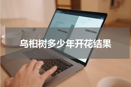 乌桕树多少年开花结果