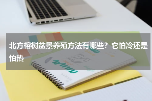 北方榕树盆景养殖方法有哪些？它怕冷还是怕热