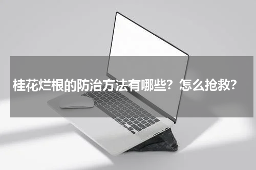 桂花烂根的防治方法有哪些？怎么抢救？
