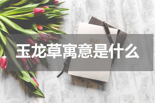 玉龙草寓意是什么