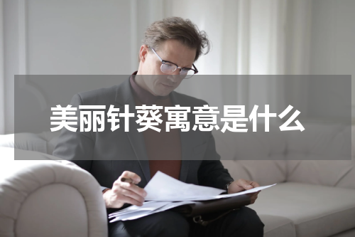 美丽针葵寓意是什么