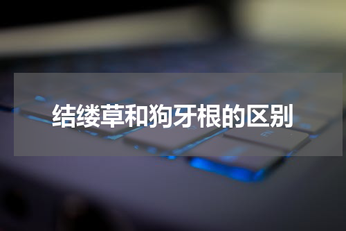 结缕草和狗牙根的区别
