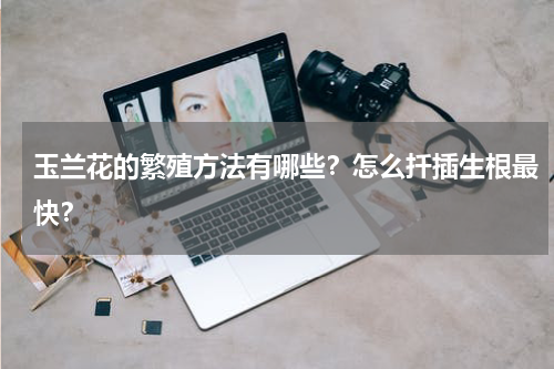 玉兰花的繁殖方法有哪些？怎么扦插生根最快？