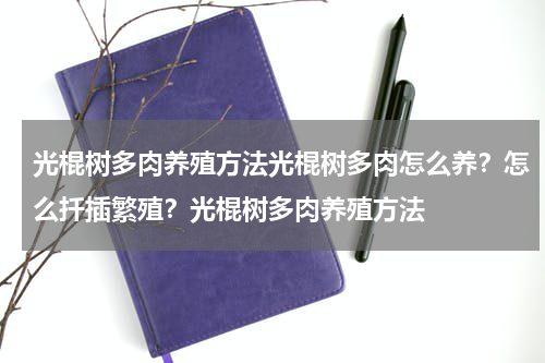 光棍树多肉养殖方法光棍树多肉怎么养？怎么扦插繁殖？光棍树多肉养殖方法