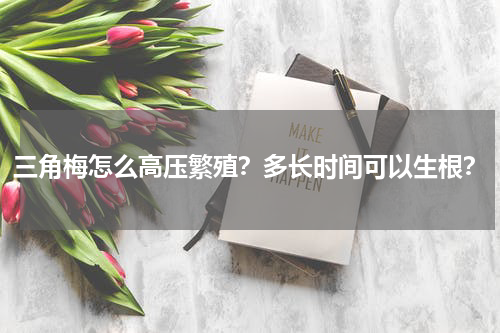 三角梅怎么高压繁殖？多长时间可以生根？