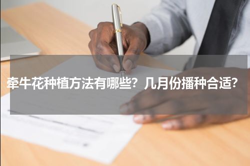 牵牛花种植方法有哪些？几月份播种合适？