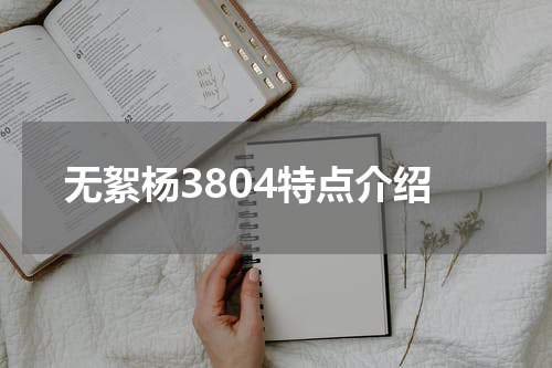 无絮杨3804特点介绍