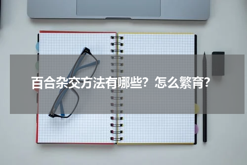百合杂交方法有哪些？怎么繁育？