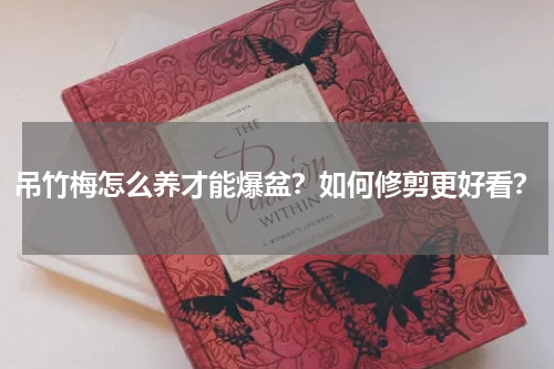 吊竹梅怎么养才能爆盆？如何修剪更好看？