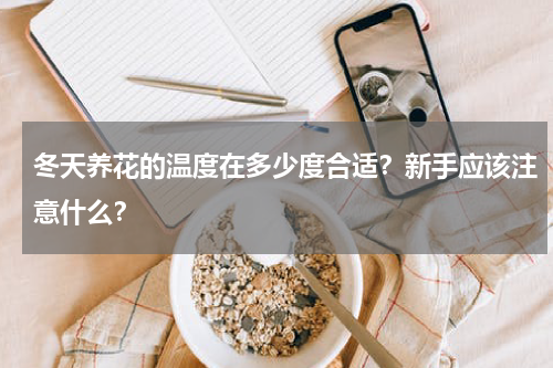 冬天养花的温度在多少度合适？新手应该注意什么？