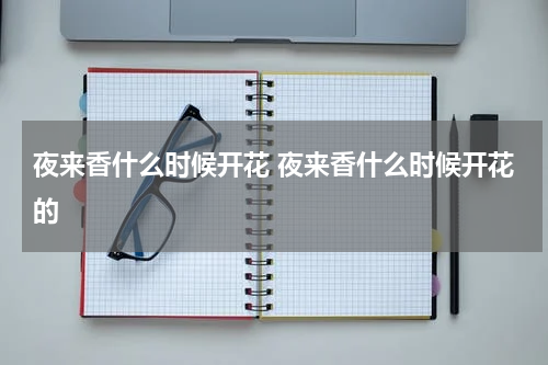 夜来香什么时候开花 夜来香什么时候开花的