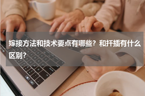 嫁接方法和技术要点有哪些？和扦插有什么区别？
