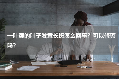 一叶莲的叶子发黄长斑怎么回事？可以修剪吗?