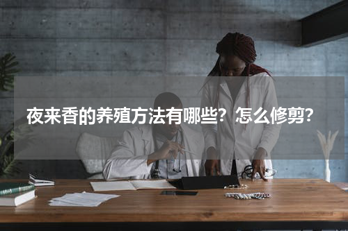 夜来香的养殖方法有哪些？怎么修剪？