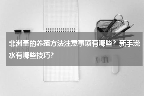 非洲堇的养殖方法注意事项有哪些？新手浇水有哪些技巧？