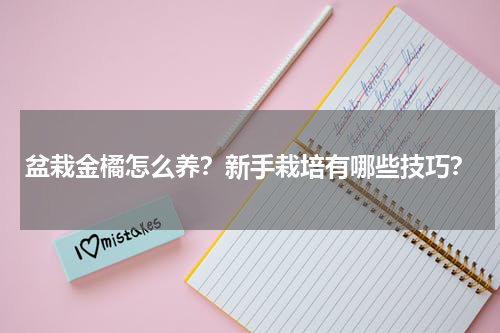 盆栽金橘怎么养？新手栽培有哪些技巧？