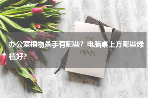 办公室植物杀手有哪些？电脑桌上方哪些绿植好？