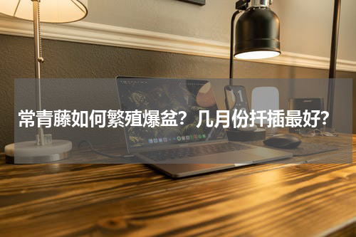 常青藤如何繁殖爆盆？几月份扦插最好？