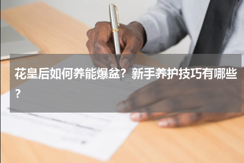 花皇后如何养能爆盆？新手养护技巧有哪些？