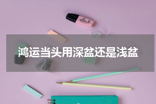 鸿运当头用深盆还是浅盆