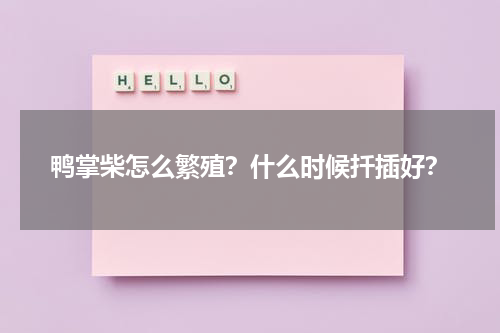 鸭掌柴怎么繁殖？什么时候扦插好？