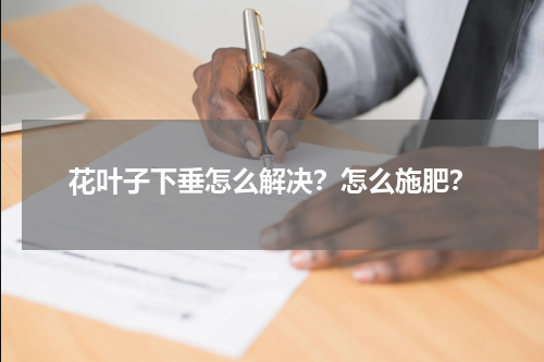 花叶子下垂怎么解决？怎么施肥？