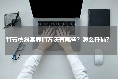 竹节秋海棠养植方法有哪些？怎么扦插？