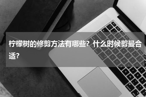 柠檬树的修剪方法有哪些？什么时候剪最合适？
