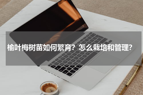 榆叶梅树苗如何繁育？怎么栽培和管理？