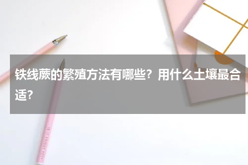 铁线蕨的繁殖方法有哪些？用什么土壤最合适？