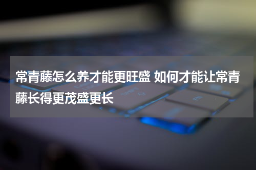 常青藤怎么养才能更旺盛 如何才能让常青藤长得更茂盛更长