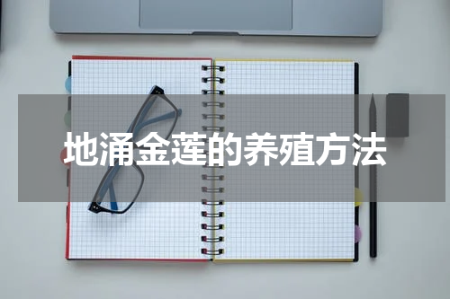 地涌金莲的养殖方法