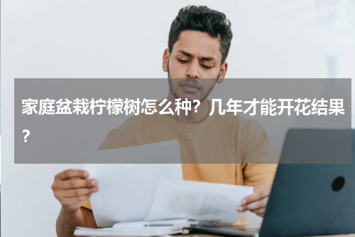 家庭盆栽柠檬树怎么种？几年才能开花结果？