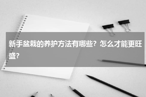 新手盆栽的养护方法有哪些？怎么才能更旺盛？