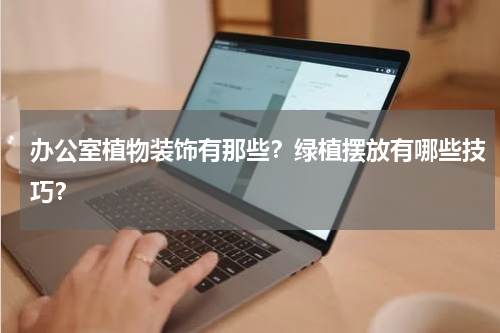 办公室植物装饰有那些？绿植摆放有哪些技巧？