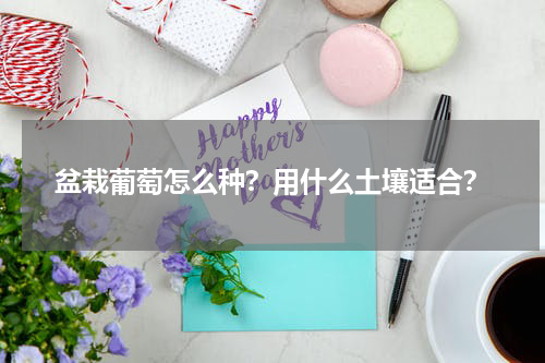 盆栽葡萄怎么种？用什么土壤适合？