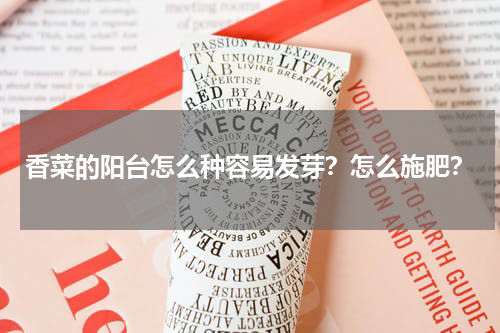 香菜的阳台怎么种容易发芽？怎么施肥？