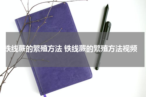 铁线蕨的繁殖方法 铁线蕨的繁殖方法视频