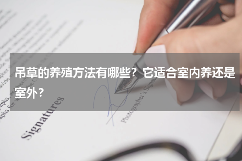 吊草的养殖方法有哪些？它适合室内养还是室外？