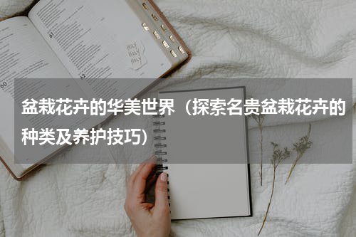 盆栽花卉的华美世界（探索名贵盆栽花卉的种类及养护技巧）