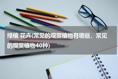 绿植 花卉(常见的观赏植物有哪些，常见的观赏植物40种)