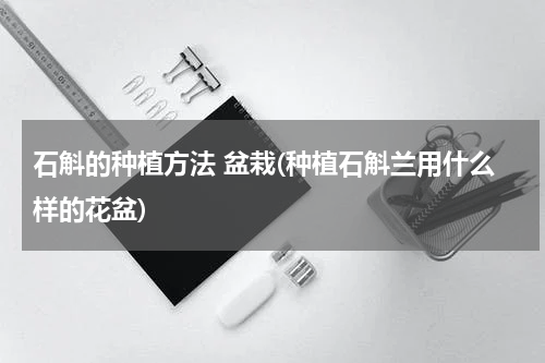 石斛的种植方法 盆栽(种植石斛兰用什么样的花盆)