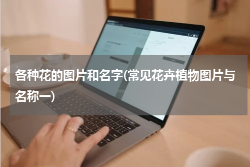 各种花的图片和名字(常见花卉植物图片与名称一)