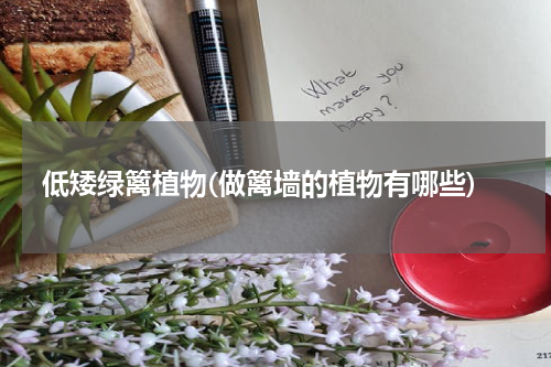 低矮绿篱植物(做篱墙的植物有哪些)