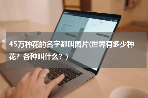 45万种花的名字都叫图片(世界有多少种花？各种叫什么？)