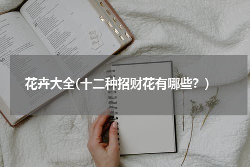 花卉大全(十二种招财花有哪些？)