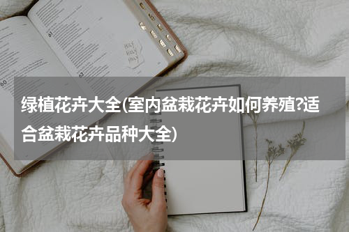 绿植花卉大全(室内盆栽花卉如何养殖?适合盆栽花卉品种大全)