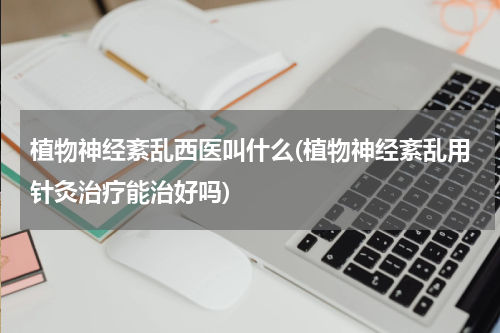 植物神经紊乱西医叫什么(植物神经紊乱用针灸治疗能治好吗)