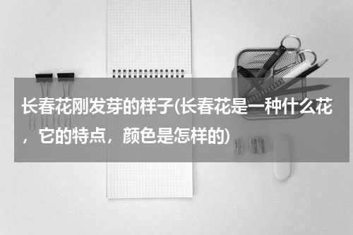 长春花刚发芽的样子(长春花是一种什么花，它的特点，颜色是怎样的)