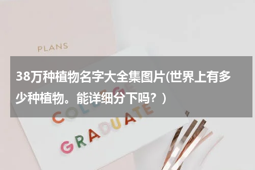 38万种植物名字大全集图片(世界上有多少种植物。能详细分下吗？)